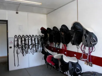 Poney Club du Phenix Nimes à Nîmes, Gard (30)