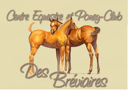 Poney Club-Centre Equestre des Bréviaires - Haras  à Les Bréviaires, Yvelines (78)