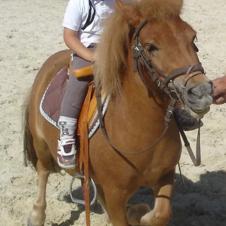 Poney Club de Brevonnes à Brévonnes, Aube (10)