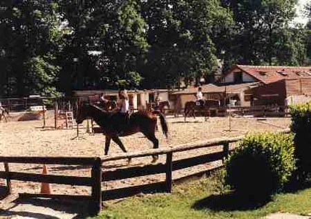 Poney Club de Sucy en Brie à Sucy-en-Brie, Val-de-Marne (94)