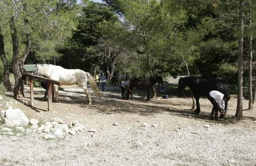 Poney Club de Réganel à Lavérune, Hérault (34)