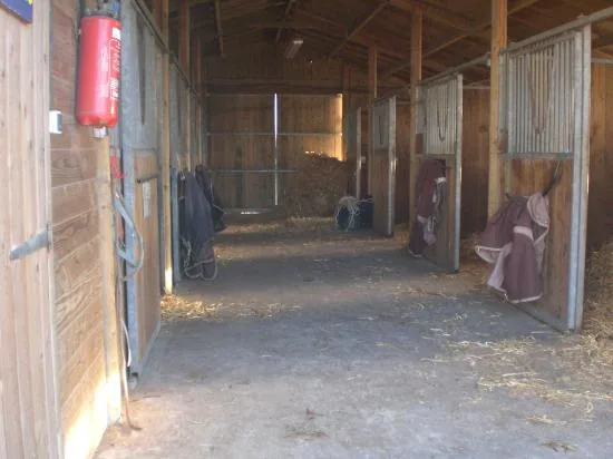 Poney-club Blue Nash à Plouarzel, Finistère (29)