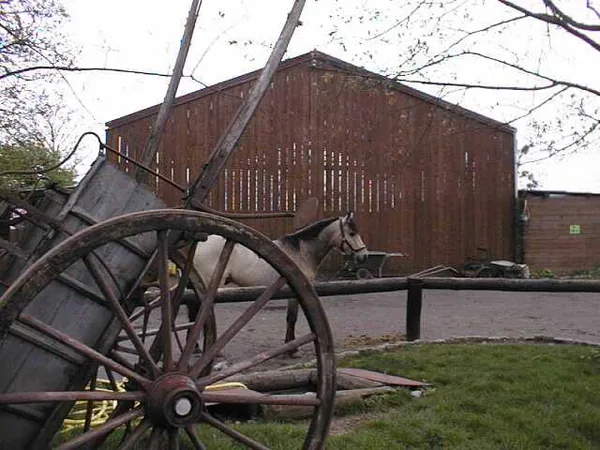 Poney Club du Voulgis à Ozouer-le-Voulgis, Seine-et-Marne (77)