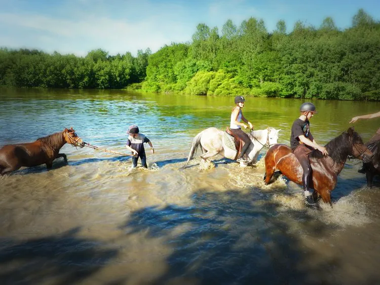 Poney Club Saint Christophe en Bresse à Saint-Christophe-en-Bresse, Saône-et-Loire (71)
