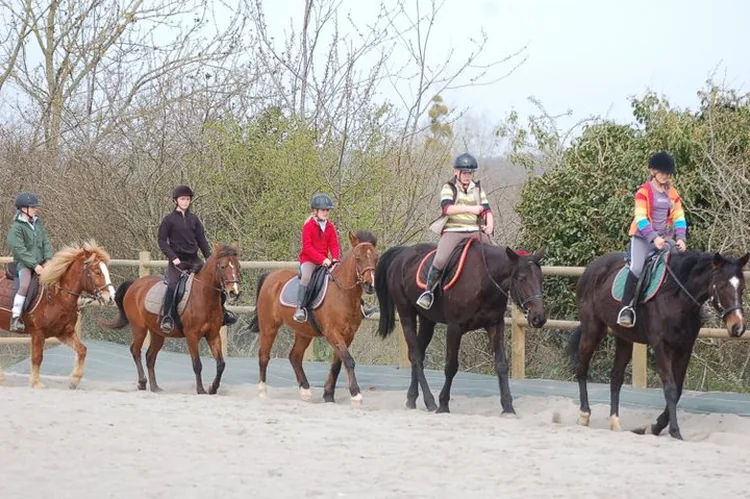Poney Club Sainte Colombe à Sainte-Colombe, Manche (50)