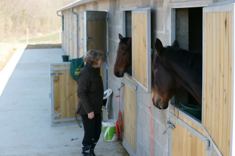 Poney Club la Bigonniére à Cangey, Indre-et-Loire (37)