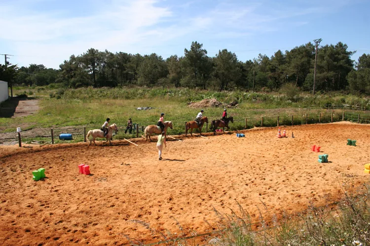 Poney Nature à Langon, Ille-et-Vilaine (35)