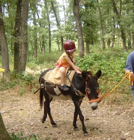 Asinerie de la Treille à Lugan, Tarn (81)
