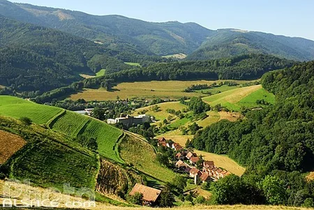 Promenades et Randonnées en Val d'Argent à Sainte-Marie-aux-Mines, Haut-Rhin (68)
