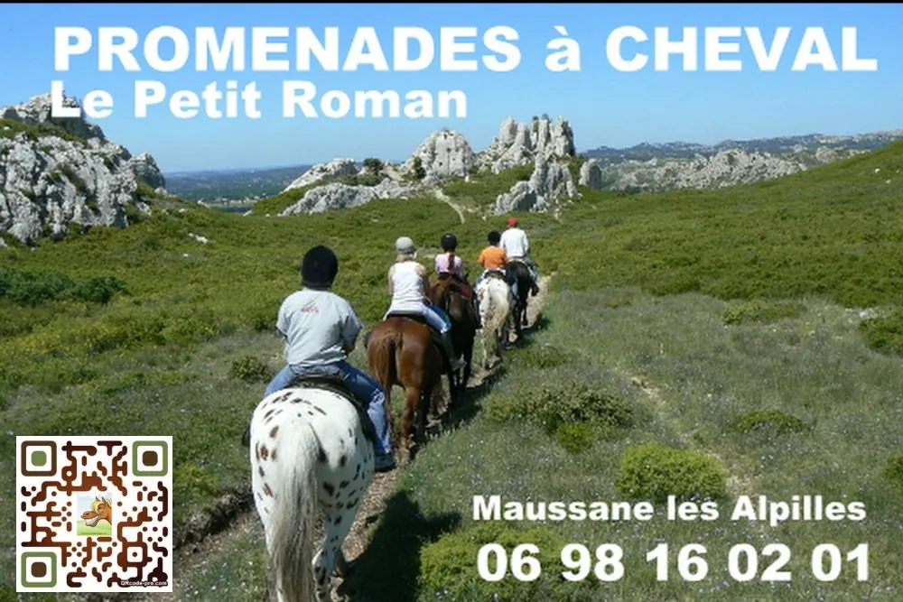 Le Petit Roman à Maussane-les-Alpilles, Bouches-du-Rhône (13)
