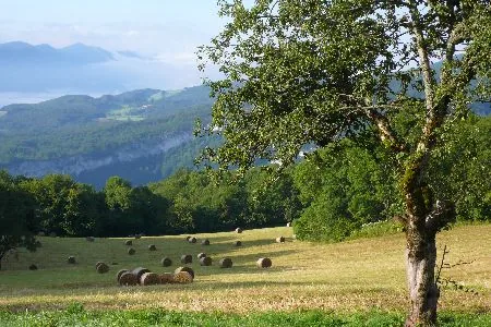 Randonnées pédestres à thèmes à Presles, Isère (38)