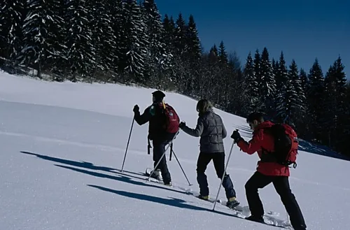 Randonnée découverte en Raquettes en Chartreuse à Saint-Pierre-de-Chartreuse, Isère (38)