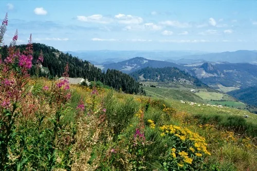 Randonnée - Escapade Loisirs/Adrénaline à Ruoms, Ardèche (07)