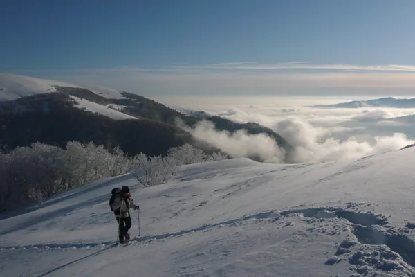 Randonnée Raquettes avec Vercors Aventure à Villard-de-Lans, Isère (38)