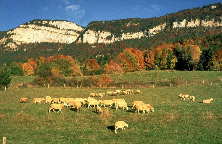Randonnée pédestre et séjour avec Versant Nature à Villard-de-Lans, Isère (38)