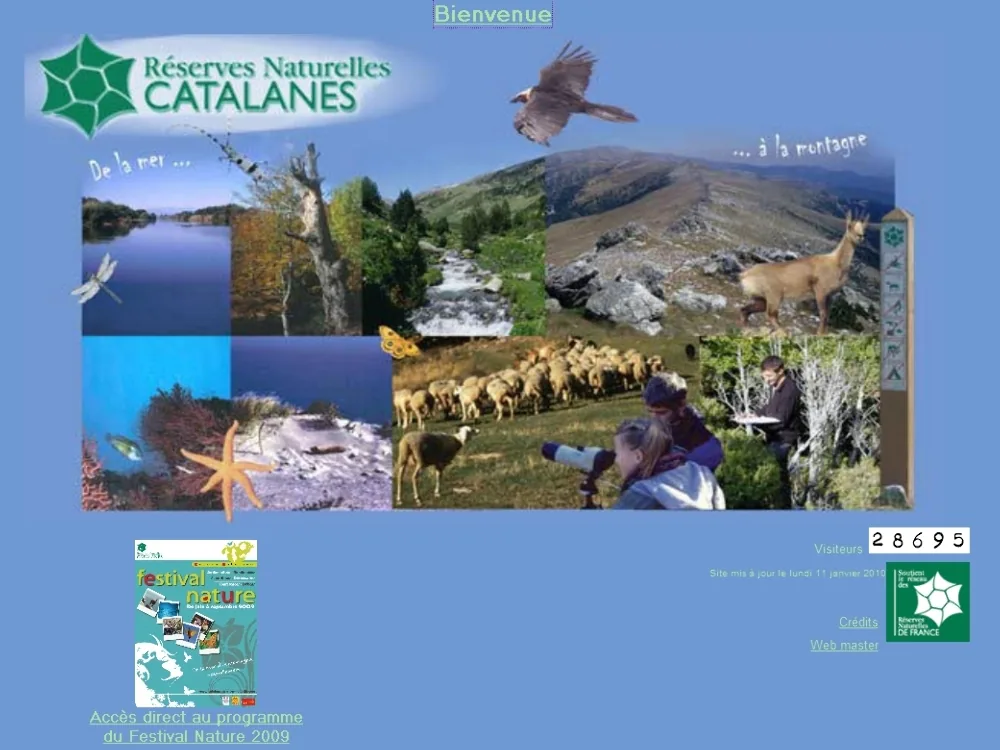 Réserve Naturelle de la Forêt de la Massane à Banyuls de la Marenda, Pyrénées-Orientales (66)