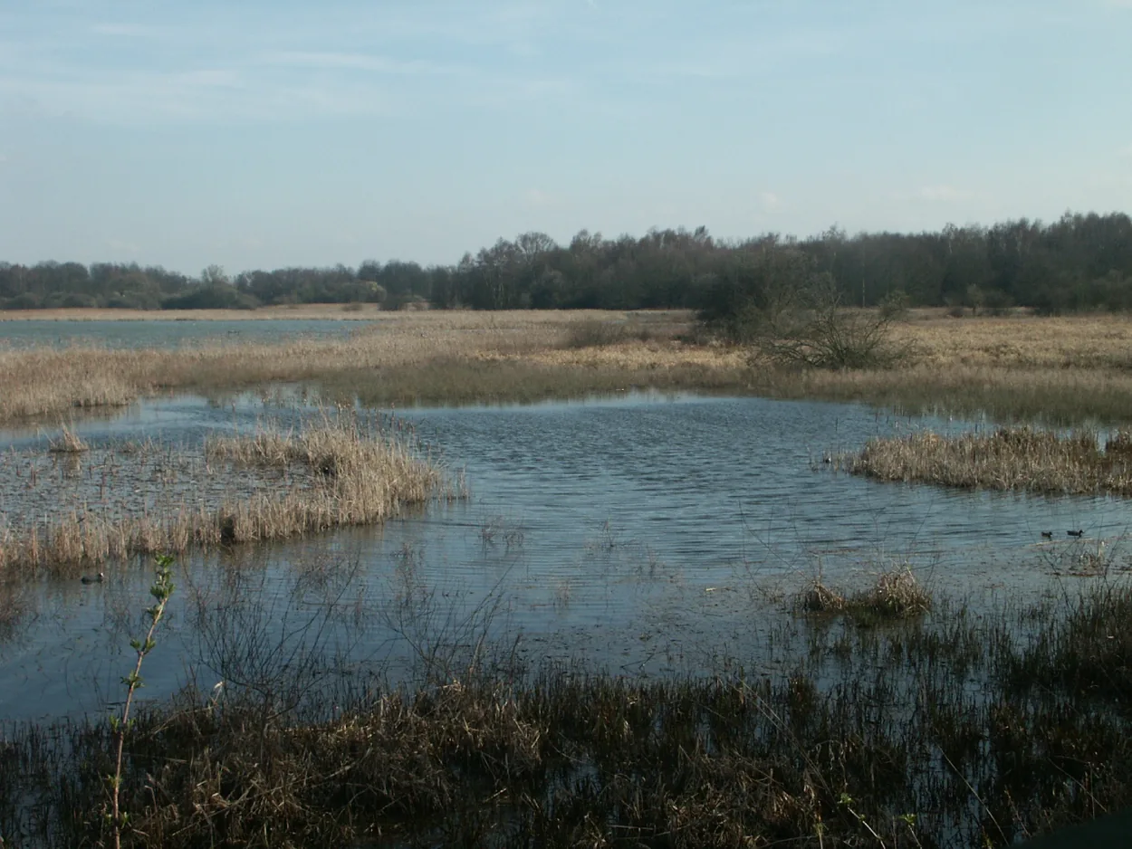 Réserve naturelle de Saint-Quentin-en-Yvelines à Trappes, Yvelines (78)
