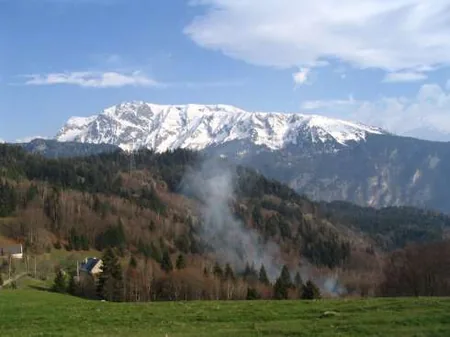 Réserve naturelle du Luitel à Séchilienne, Isère (38)