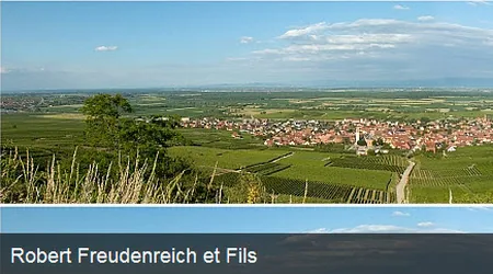 Robert et Christophe Freudenreich à Pfaffenheim, Haut-Rhin (68)