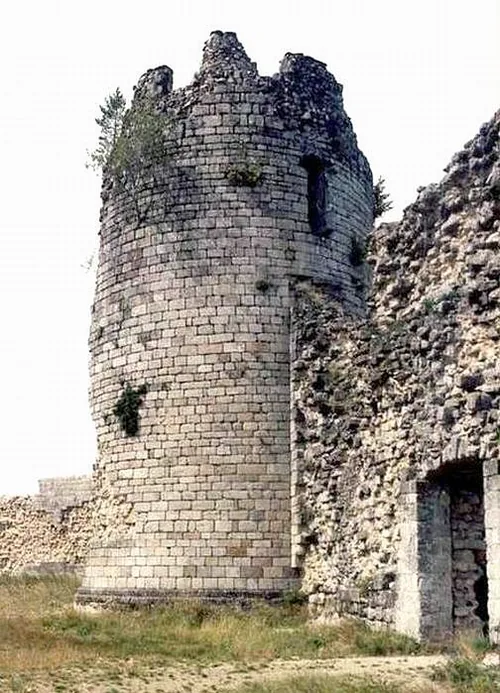 Ruines du château de Ventadour à Moustier-Ventadour, Corrèze (19)