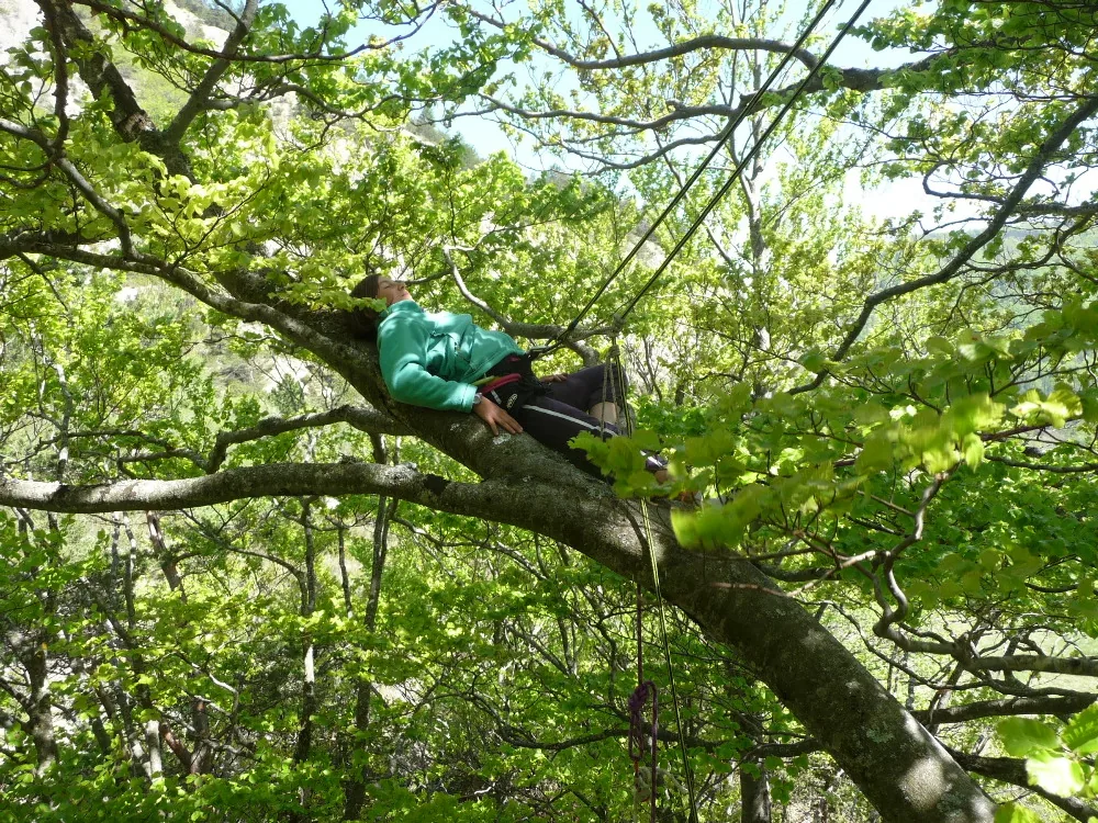 Sam'Branche-Grimpe Dans les Arbres