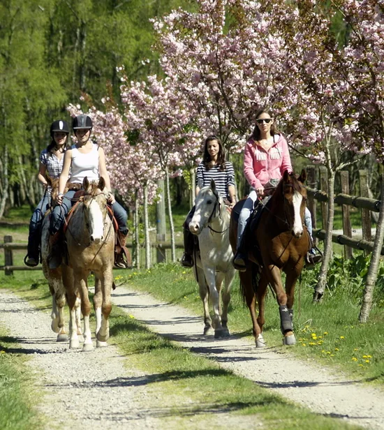 Sagi'Ranch à Saint-Julien-aux-Bois, Corrèze (19)