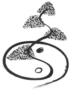 Shiatsu Yamadori à Obernai, Bas-Rhin (67)