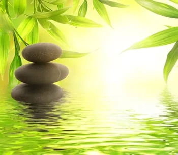 Shiatsu à Louhans, Saône-et-Loire (71)