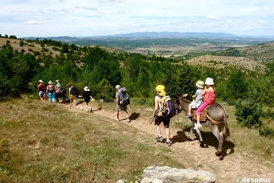 Sherp'ânes les Ânes du Causse