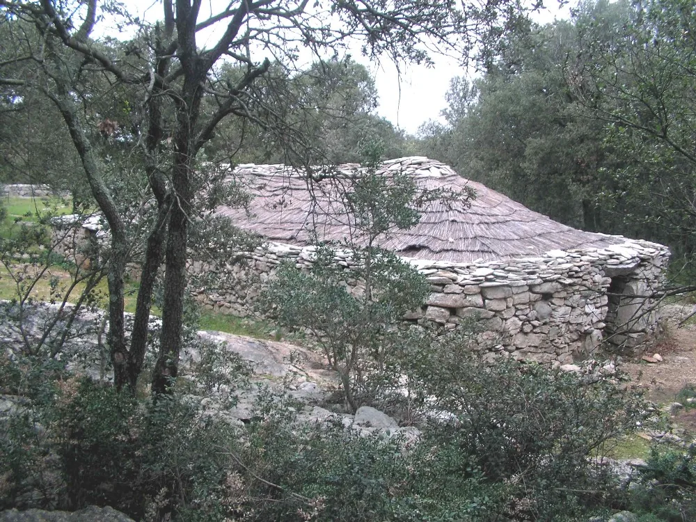 Site de Cambous à Viols-en-Laval, Hérault (34)