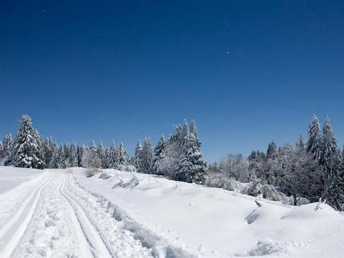 Ski Nordique le Haut du Tôt à Sapois, Jura (39)
