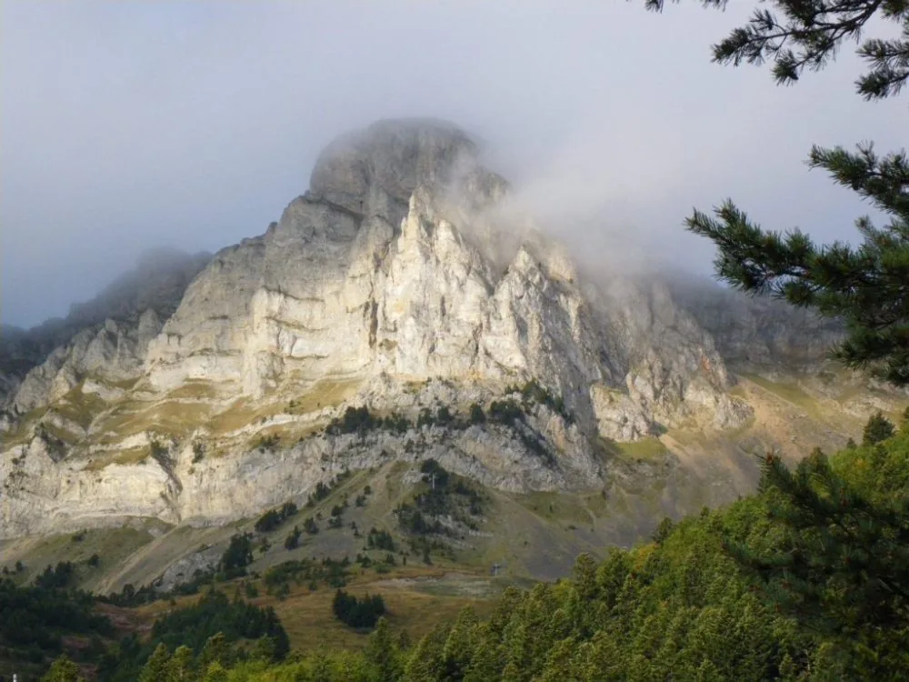 Sorties ONF à Gresse-en-Vercors, Isère (38)