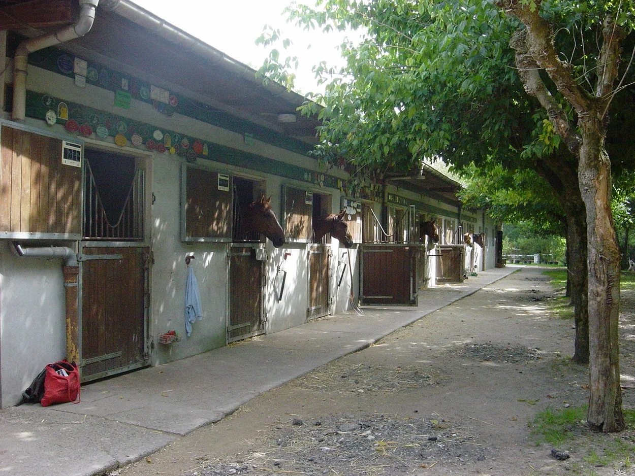 Société Hippique d'Aquitaine à Le Taillan-Médoc, Gironde (33)