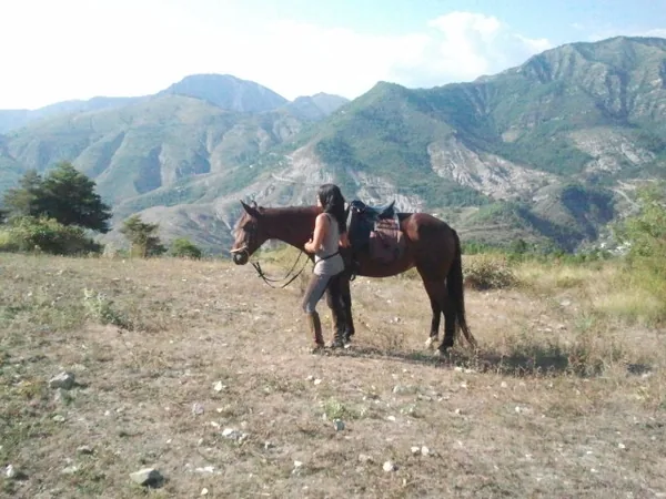 Soubrana Cheval Montagne à Peille, Alpes-Maritimes (06)