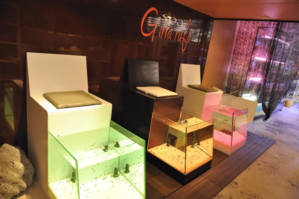 Spa Garra Rufa à Montrouge, Hauts-de-Seine (92)