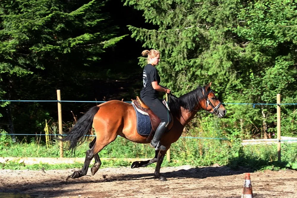 Stages d'équitation à Corrençon-en-Vercors, Isère (38)