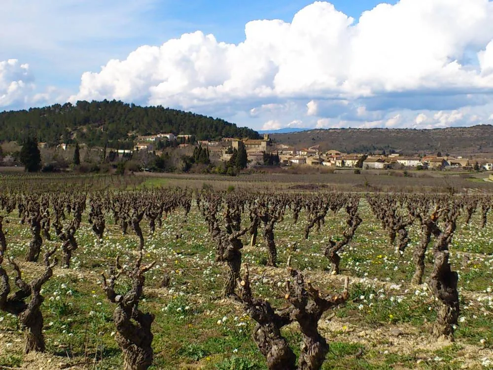 Studio Via à Fontcouverte, Aude (11)