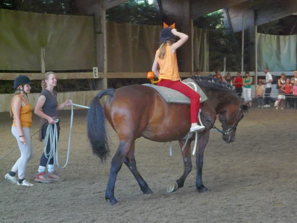 Stage d'équitation à Saint-Étienne-de-Crossey, Isère (38)