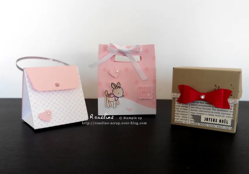 Stampin'Up avec Roseline à Saint-Séglin, Ille-et-Vilaine (35)