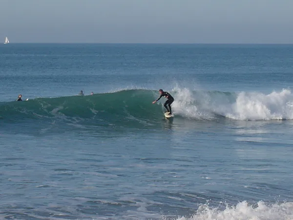 Surf'Lab Location de vélos et surfs à Labenne, Landes (40)