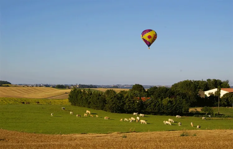 Sud Ouest Montgolfière à Pau, Pyrénées-Atlantiques (64)