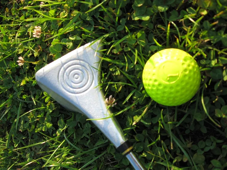 Swin Golf de la Roche à Goven, Ille-et-Vilaine (35)