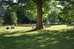 Terres Est-Ouest à Lain, Yonne (89)