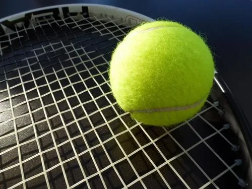 Terrains de Tennis à Vagney, Vosges (88)