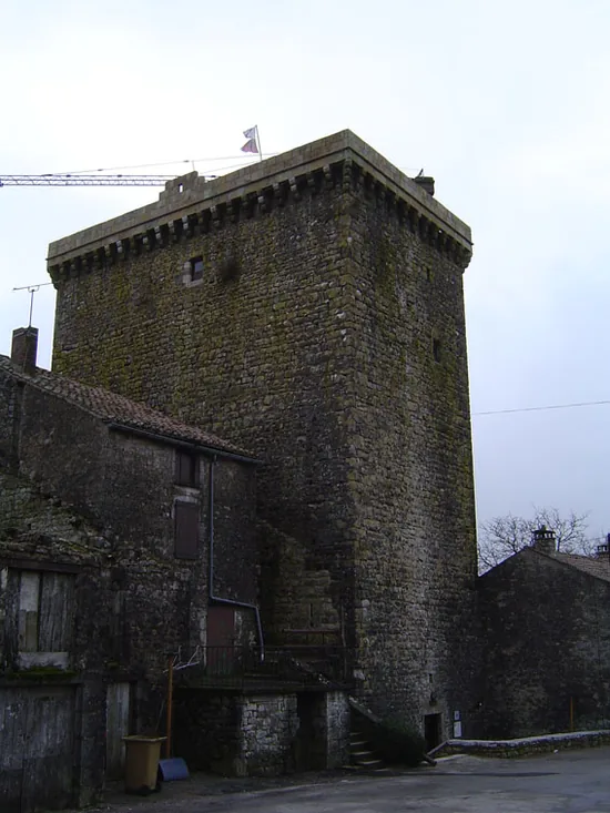 Tour du Viala du Pas de Jaux à Viala-du-Pas-de-Jaux, Aveyron (12)
