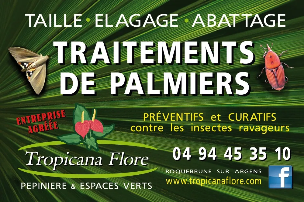 Tropicana Events Réception à Roquebrune-sur-Argens, Var (83)