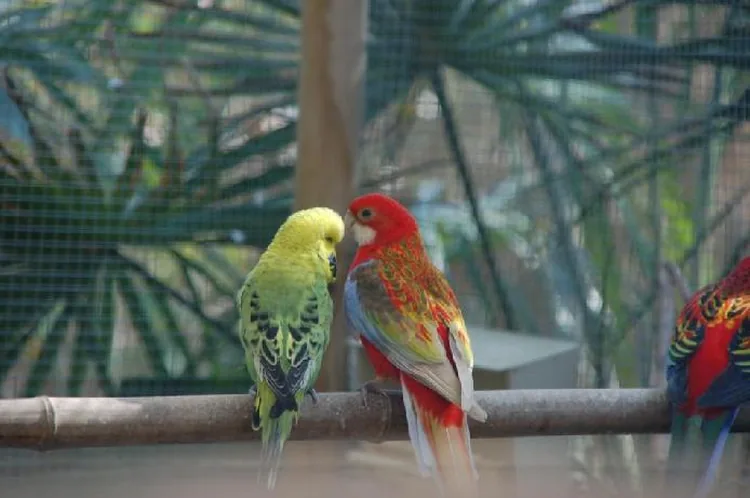 Tropicaland à Viry, Haute-Savoie (74)