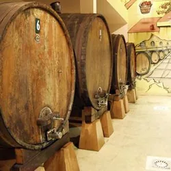 Txopinondo Cidrerie Artisanale Basque à Ascain, Pyrénées-Atlantiques (64)