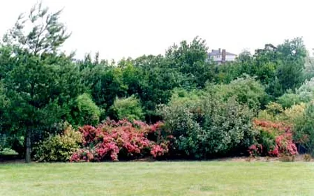 Vallée des Jardins à Caen, Calvados (14)