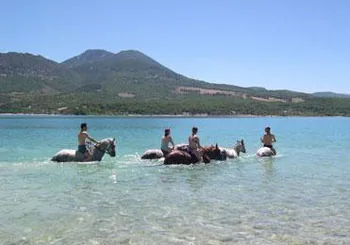 Verdon Équitation à Les Salles-sur-Verdon, Var (83)